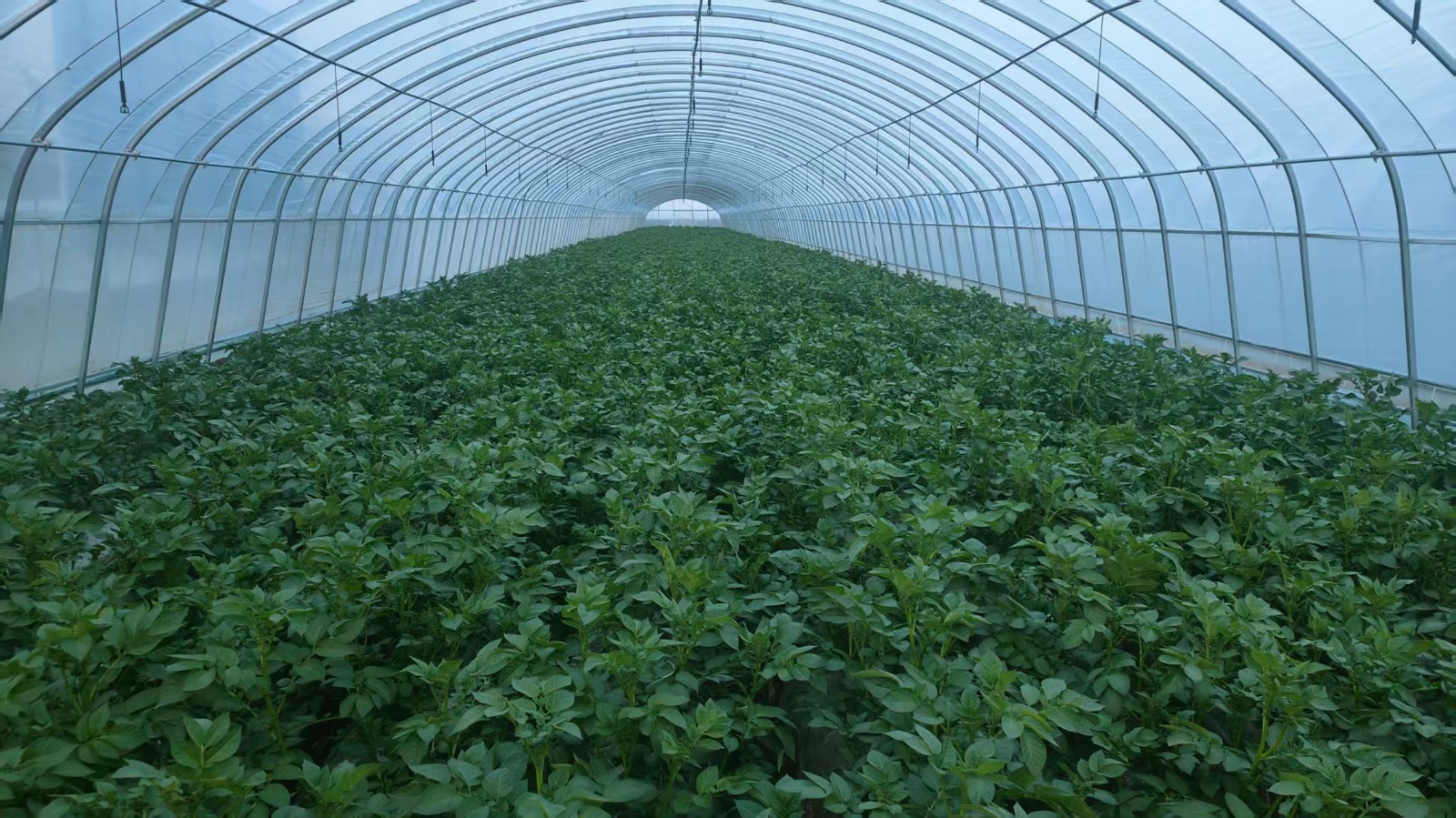 微信图片_20260305163521_49_261