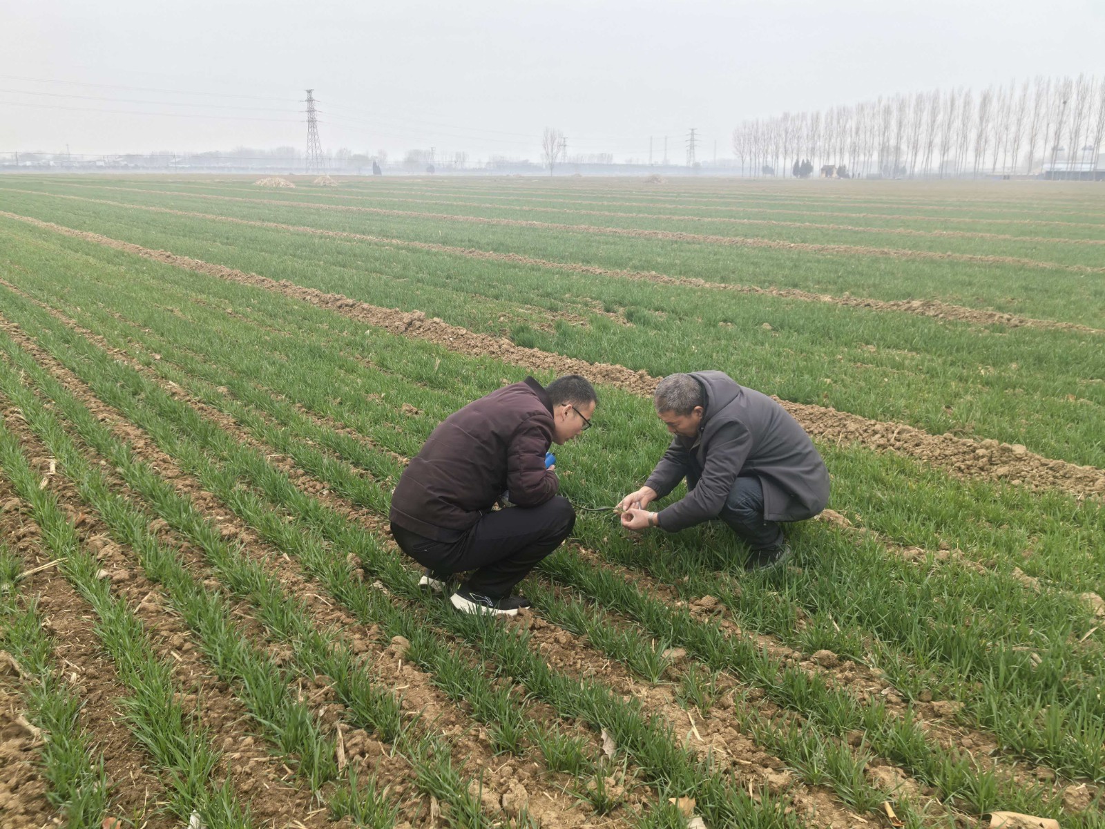 babb95c4ff05388cbecfa5f37644a3c5