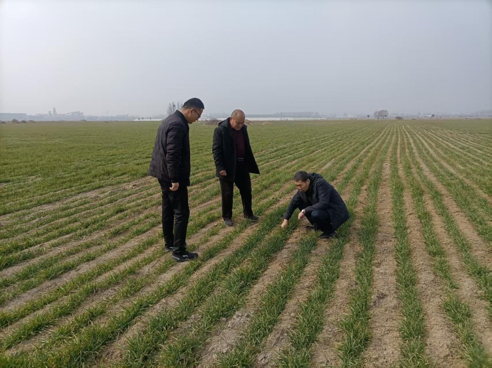 0ef914df9144796ff70e0cd0fcbae01b