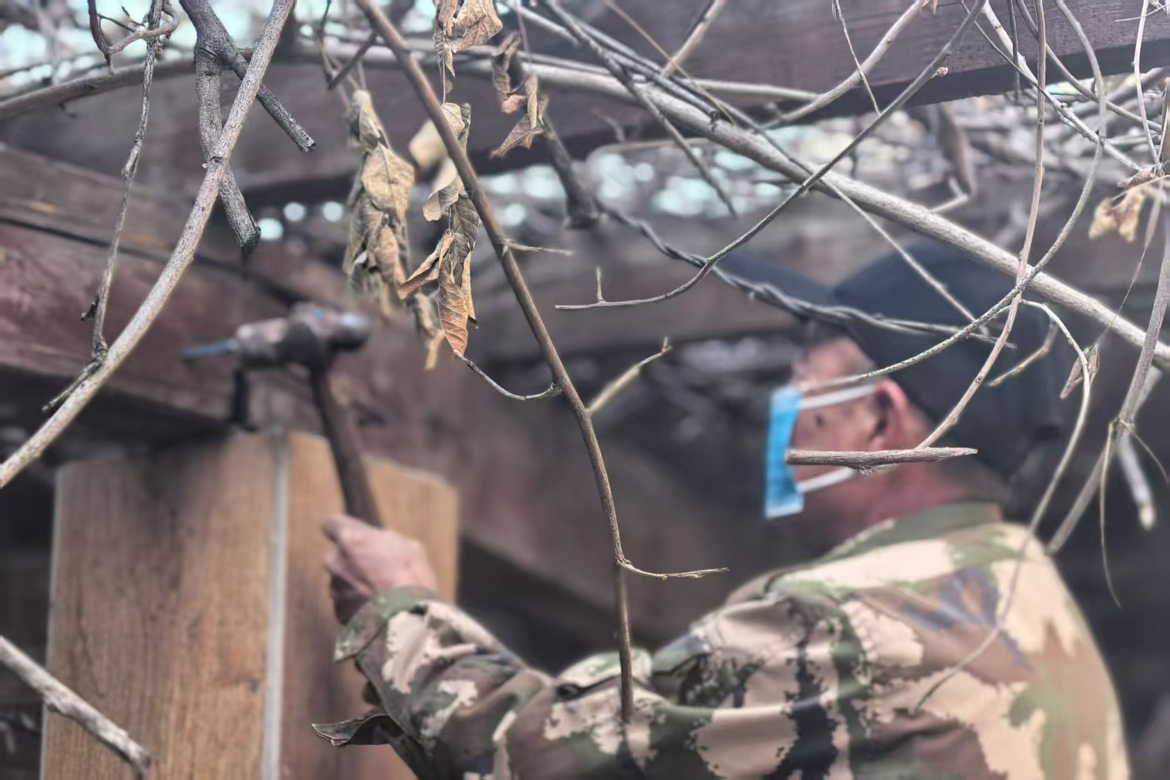 微信图片_2026-03-12_162421_767