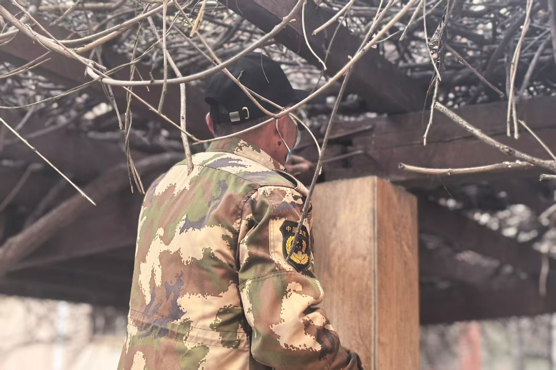 微信图片_2026-03-12_162425_175