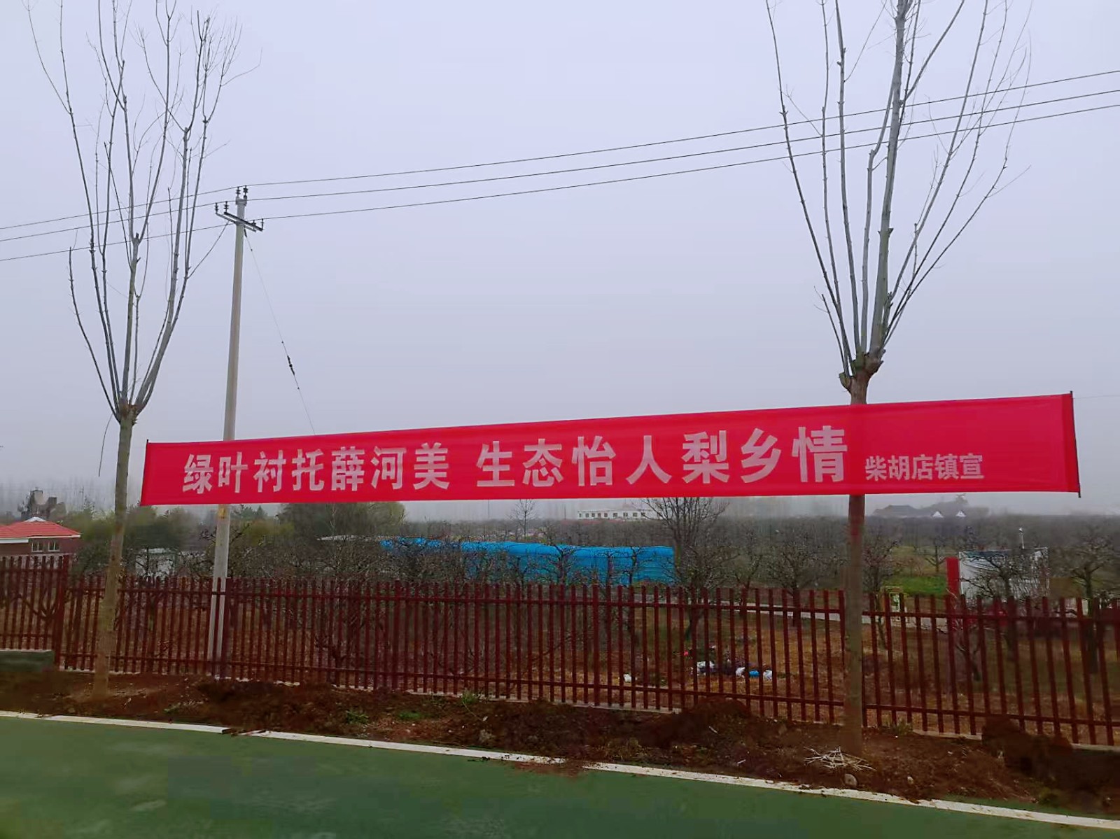 微信图片_20260315124653