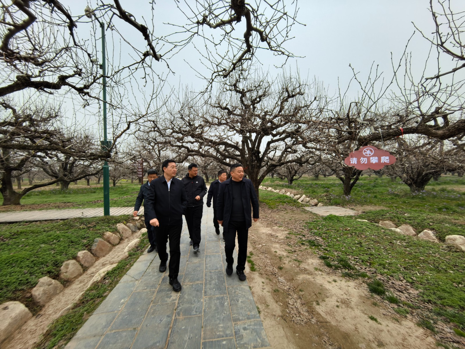 微信图片_20260317204503_104_5