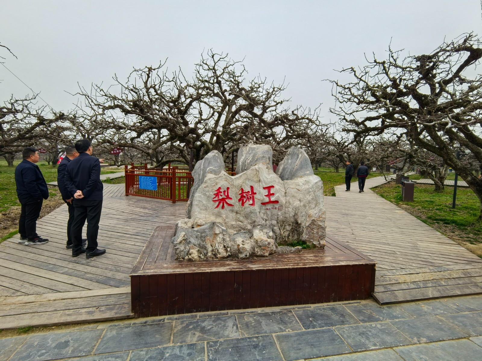 微信图片_20260317204519_106_5