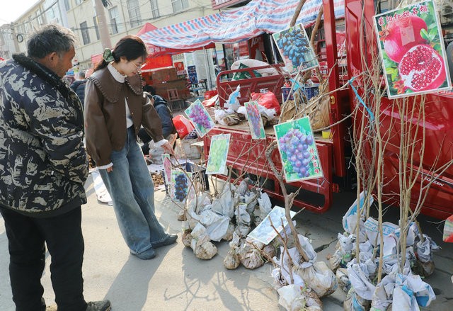 微信图片_20260319163537_453_34