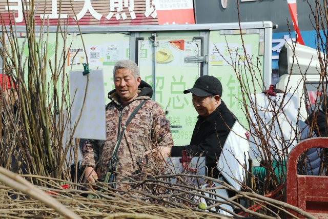 微信图片_20260319163536_452_34