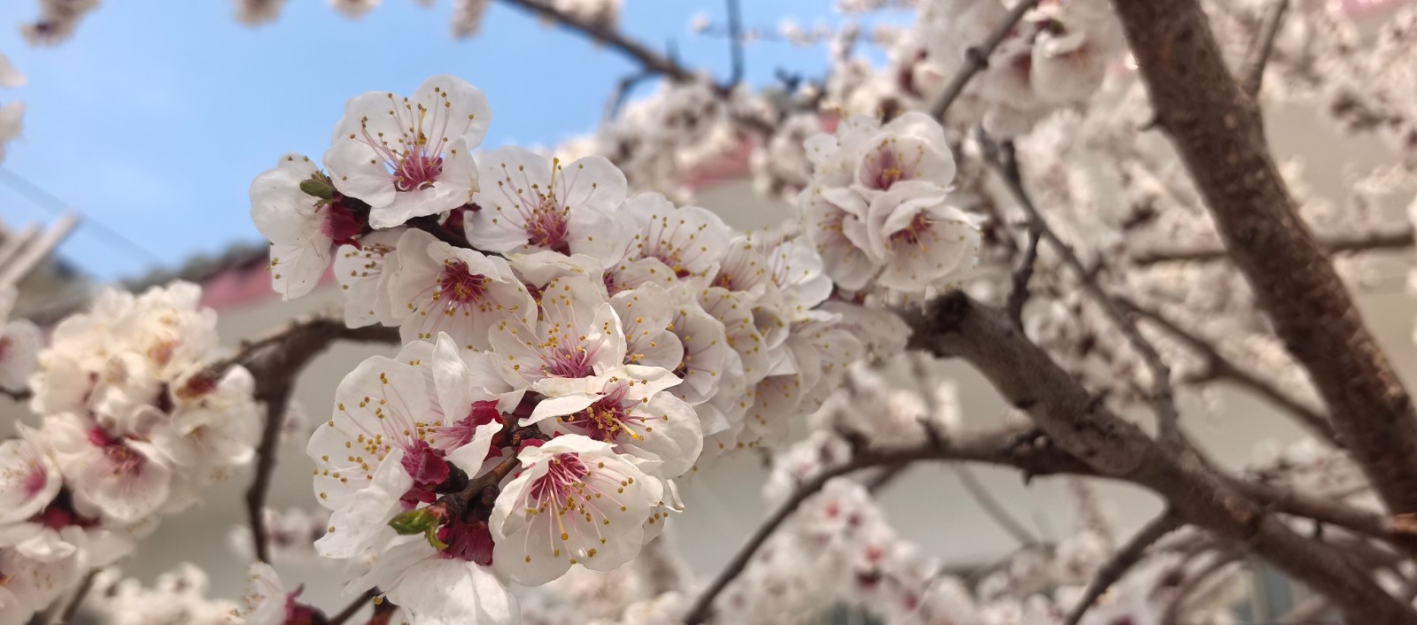 微信图片_2026-03-19_153417_258