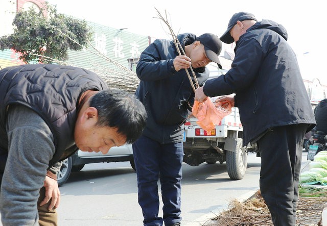 微信图片_20260319163539_455_34