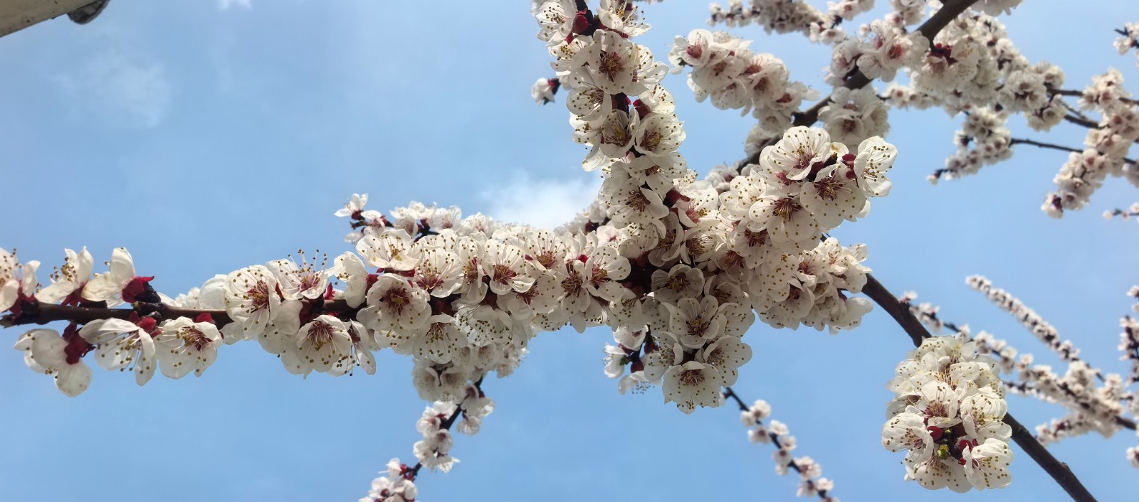 微信图片_2026-03-19_153424_872