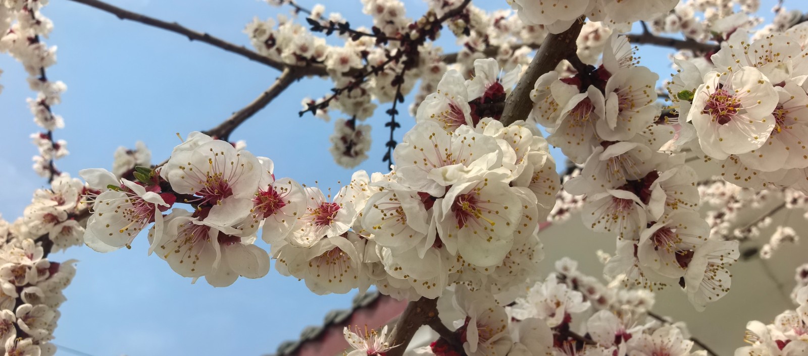 微信图片_2026-03-19_153420_841