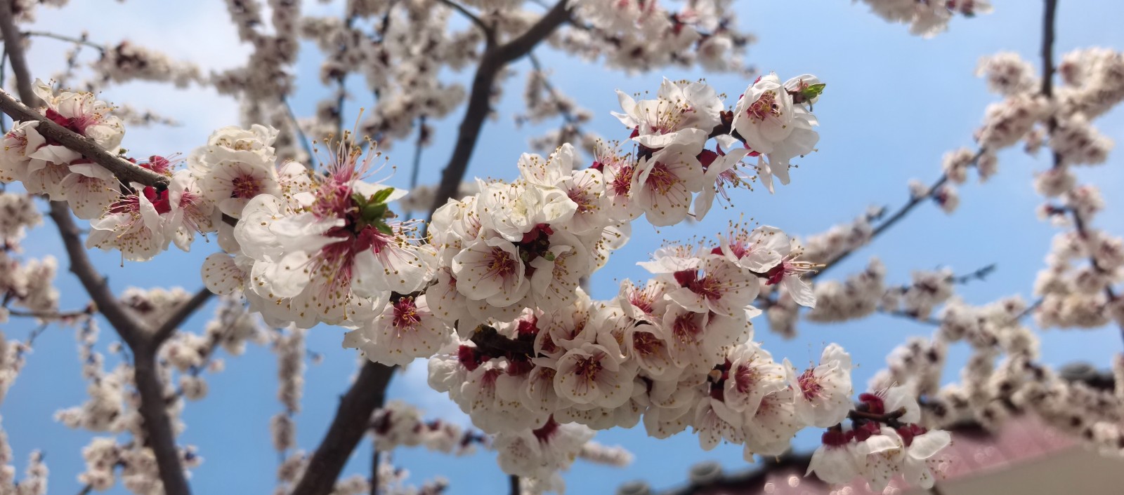 微信图片_2026-03-19_153350_785