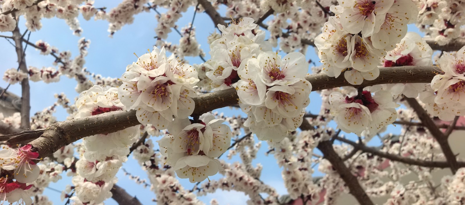 微信图片_2026-03-19_153428_819