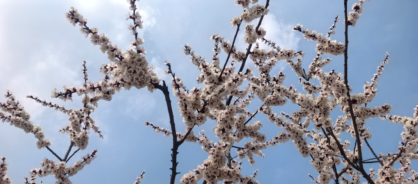 微信图片_2026-03-19_153436_722