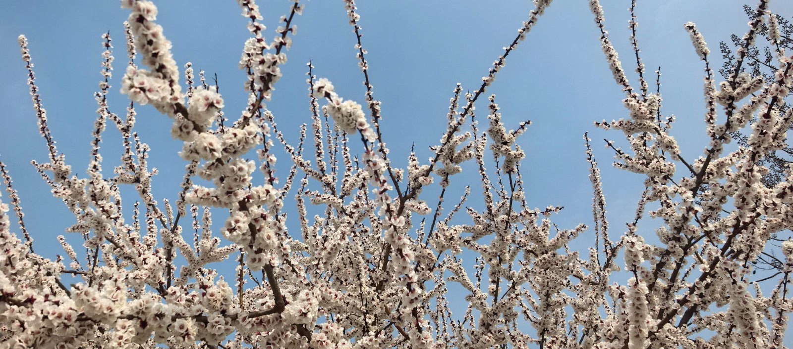 微信图片_2026-03-19_153446_330