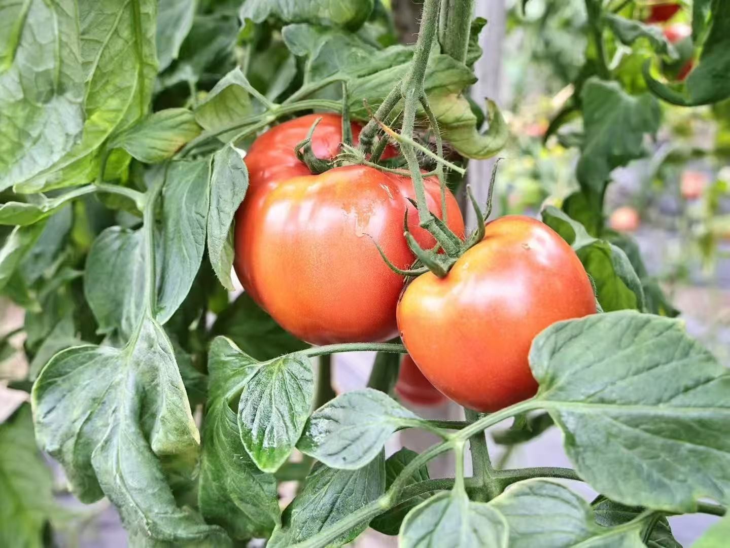 微信图片_20260320152929_469_150