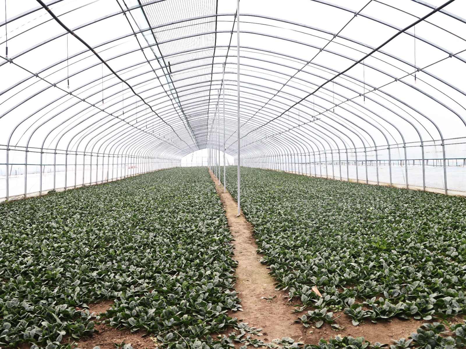 微信图片_20260320150930_458_150