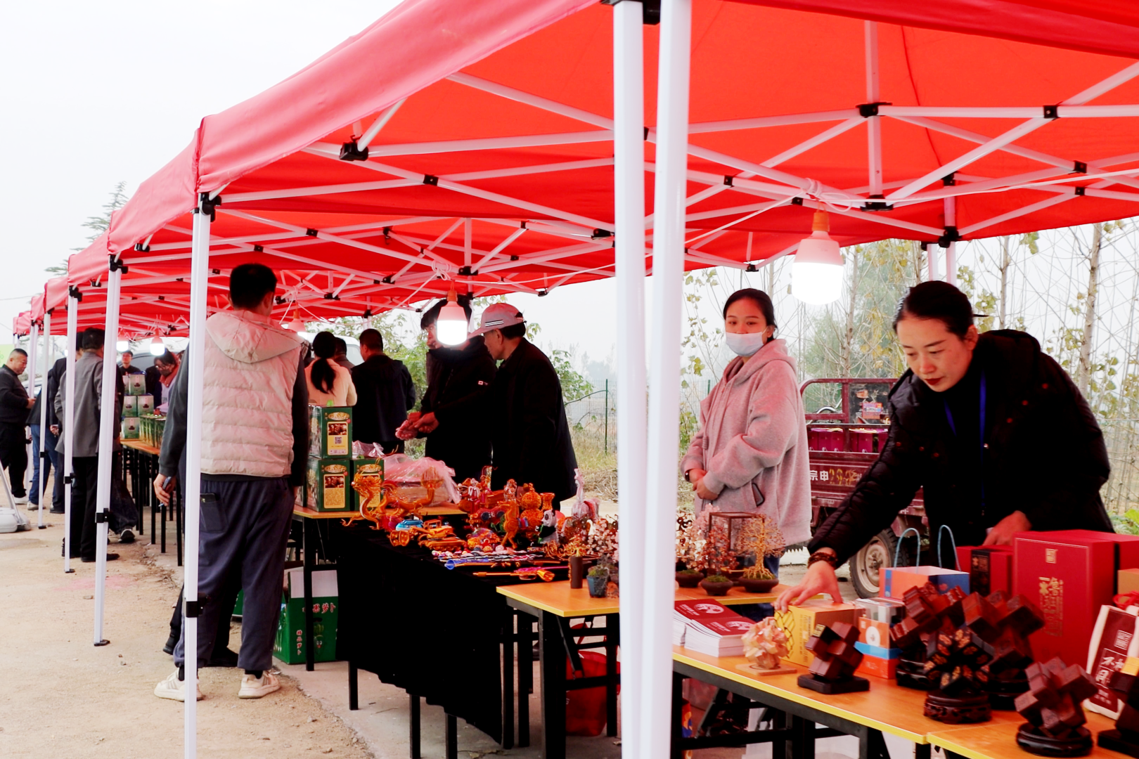 “金翅集团赛鸽探视+滕州文旅融合”特色活动