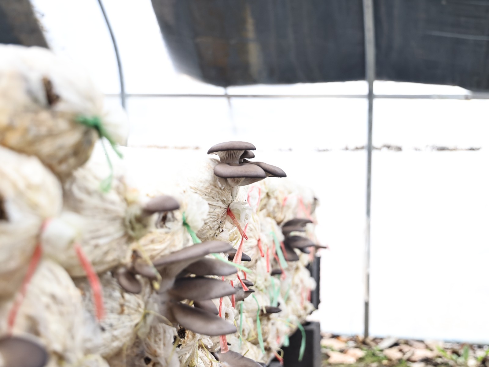 微信图片_20260320151043_463_150