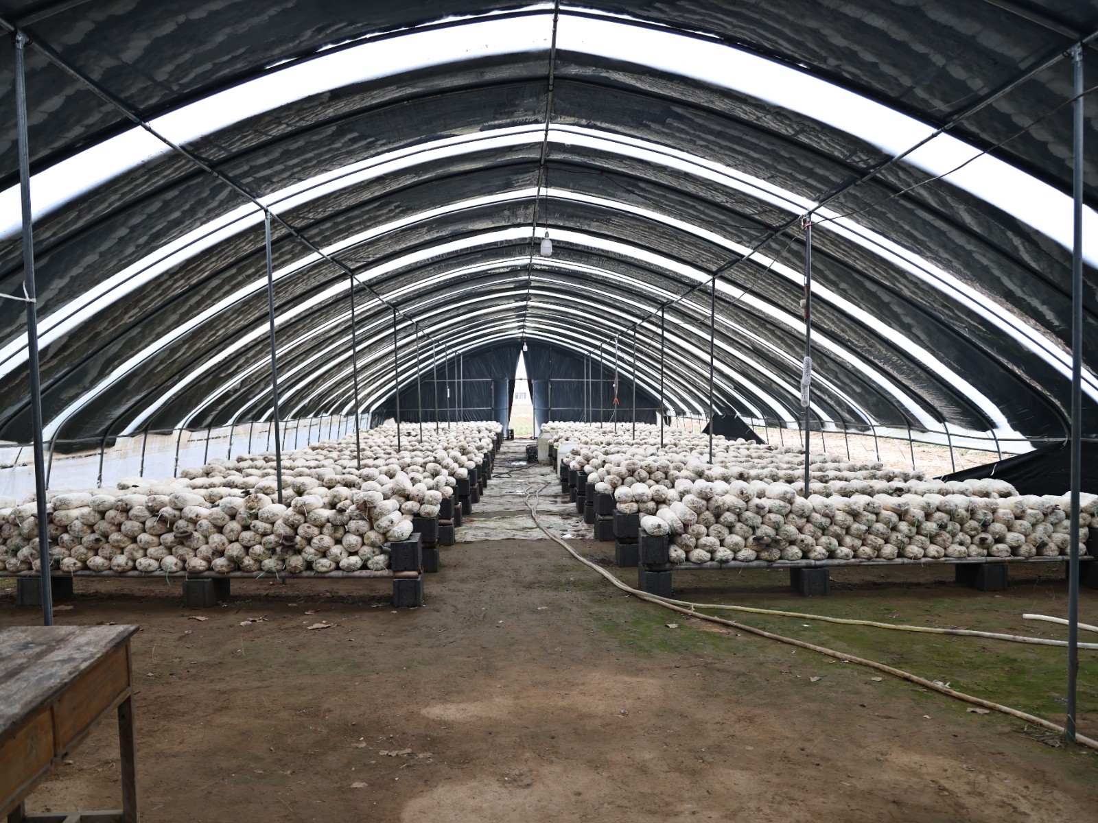 微信图片_20260320151039_460_150