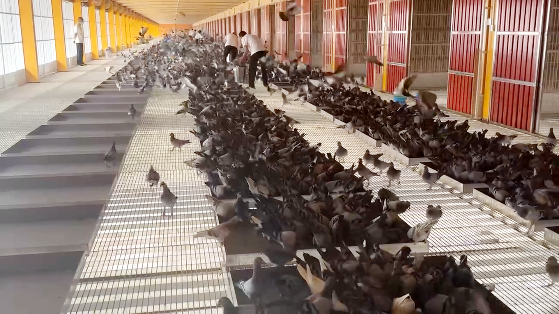 ScreenShot_2026-03-23_151647_441