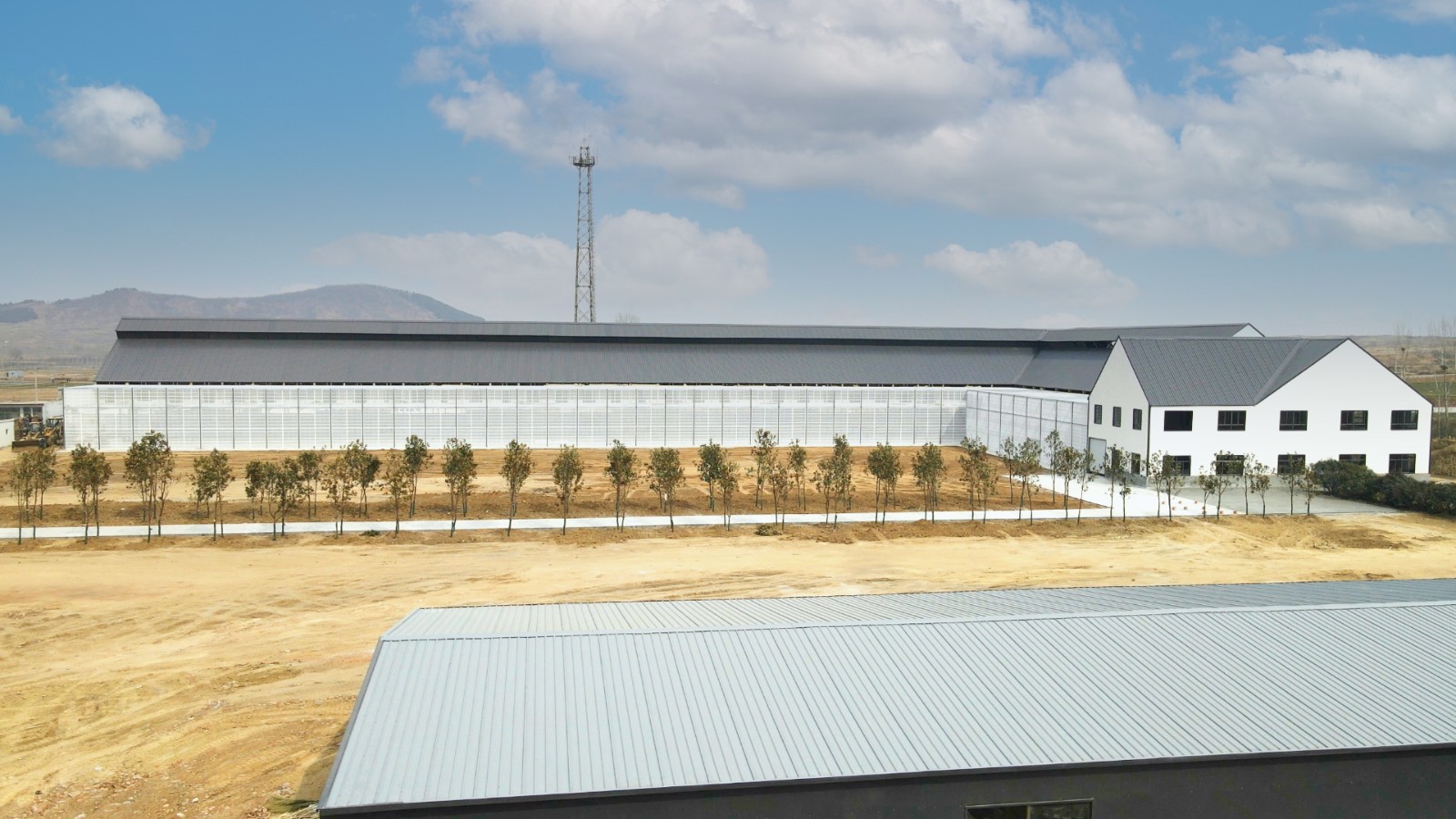 80eb98fa4bc51efcd097162e338120f