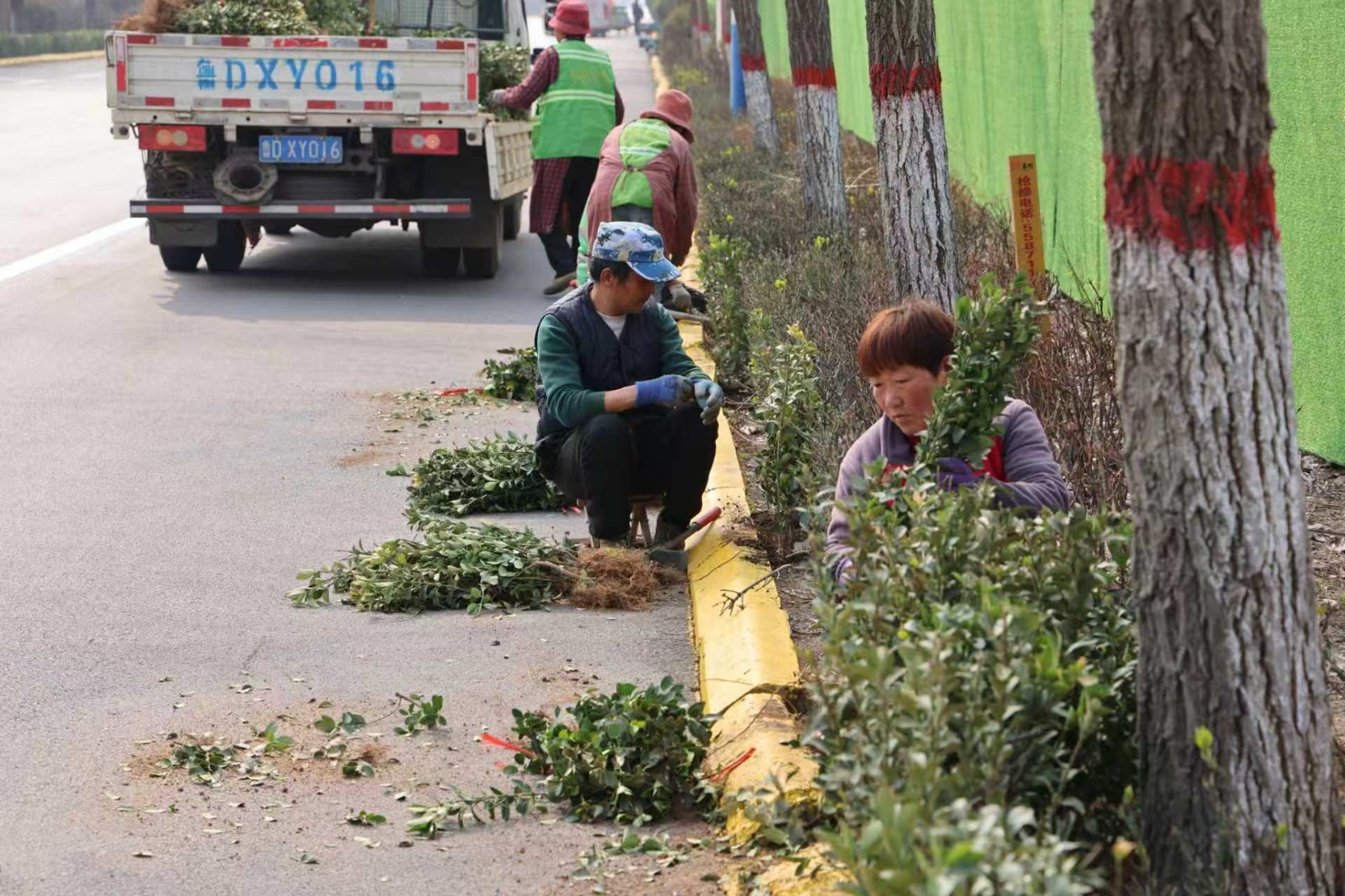 微信图片_2026-03-23_174401_976