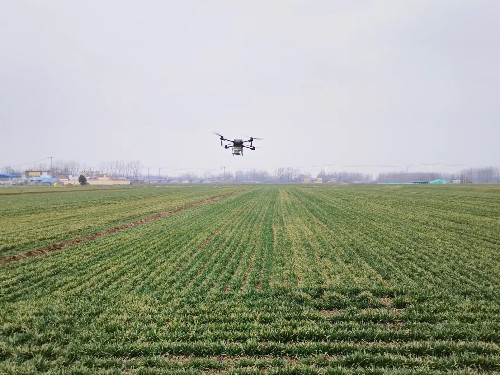 微信图片_20240229160726