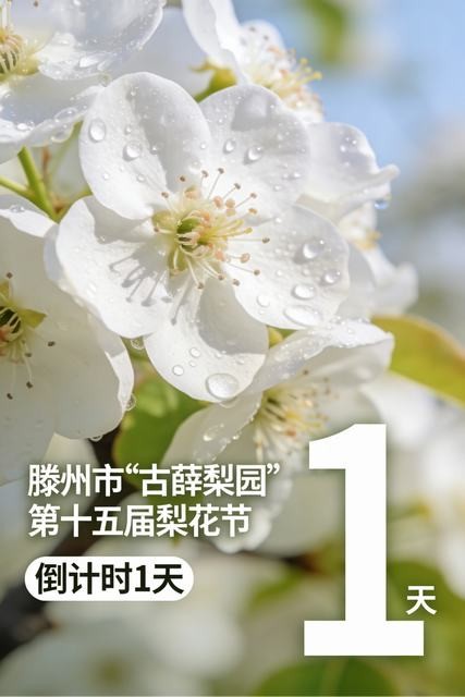 1a7249dd98ba9ce881151c7cb97f0985