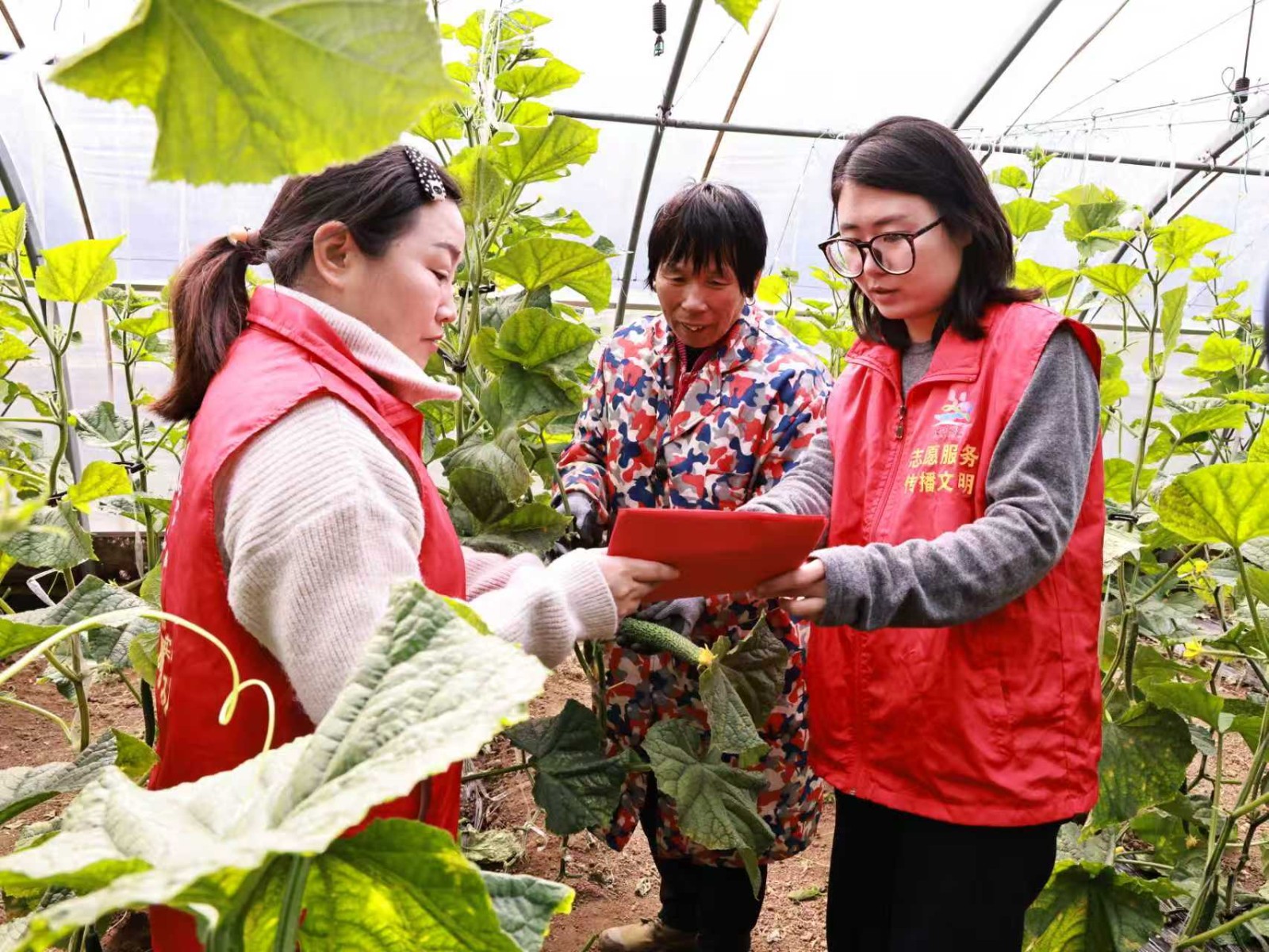 微信图片_20250903144307_199_54