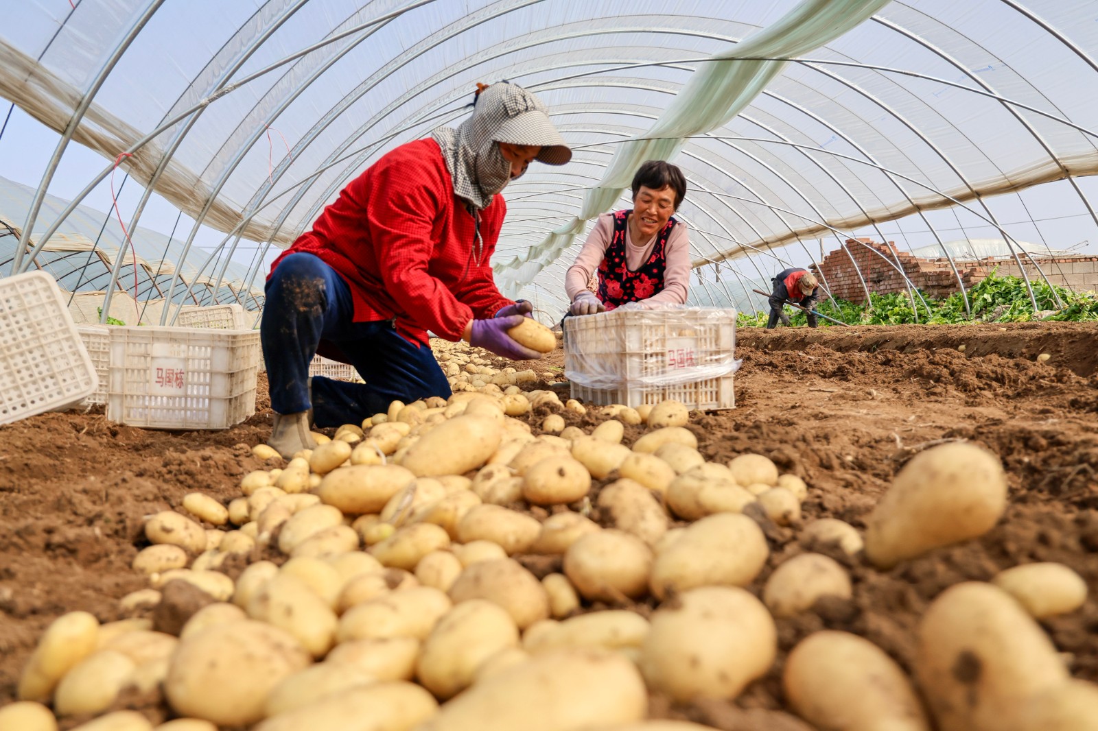 9567fec5b51824edab54263871eac2fe