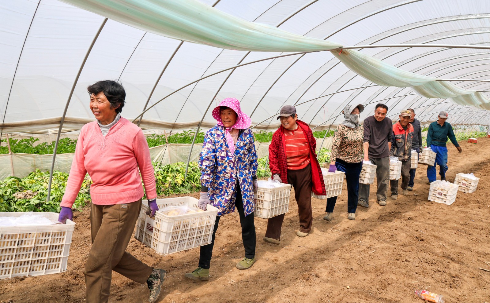 111f0a4bf3544aa5daec1138995a9eb1