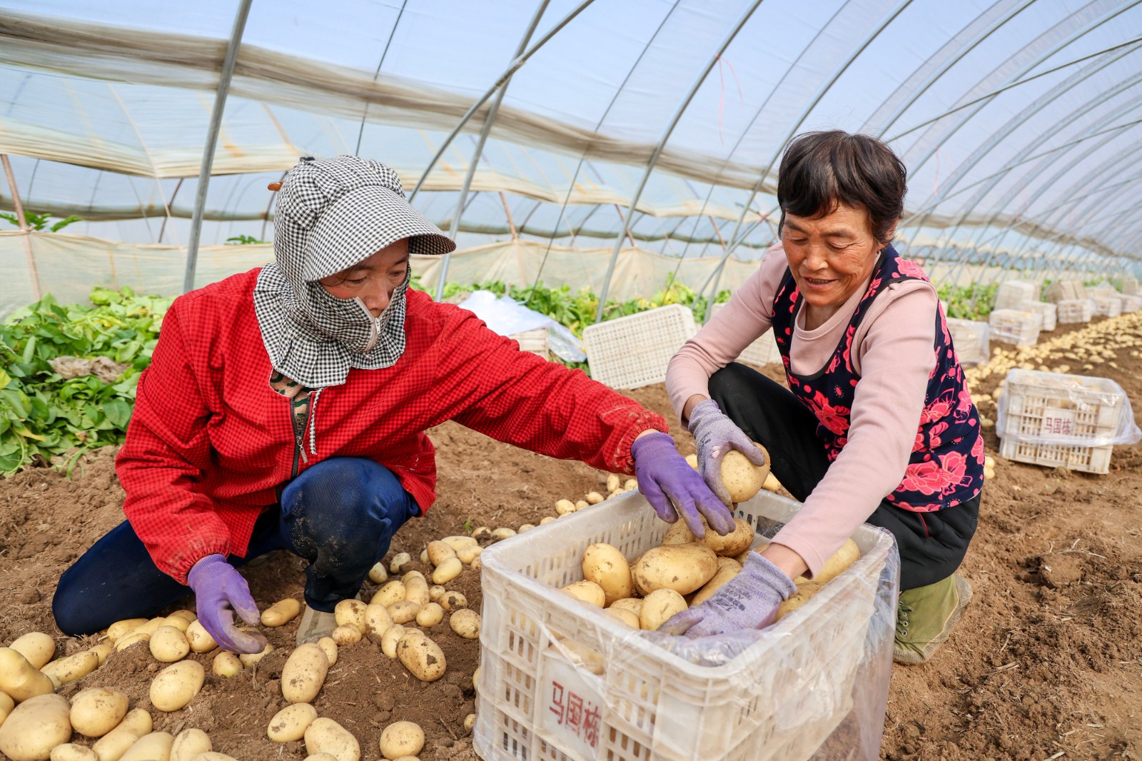 4e14fb1bfb3442c0cfe3fe5918abb122