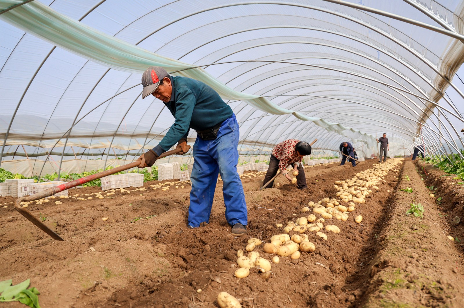 5e0fc831660d810e53a20bcb3295090e