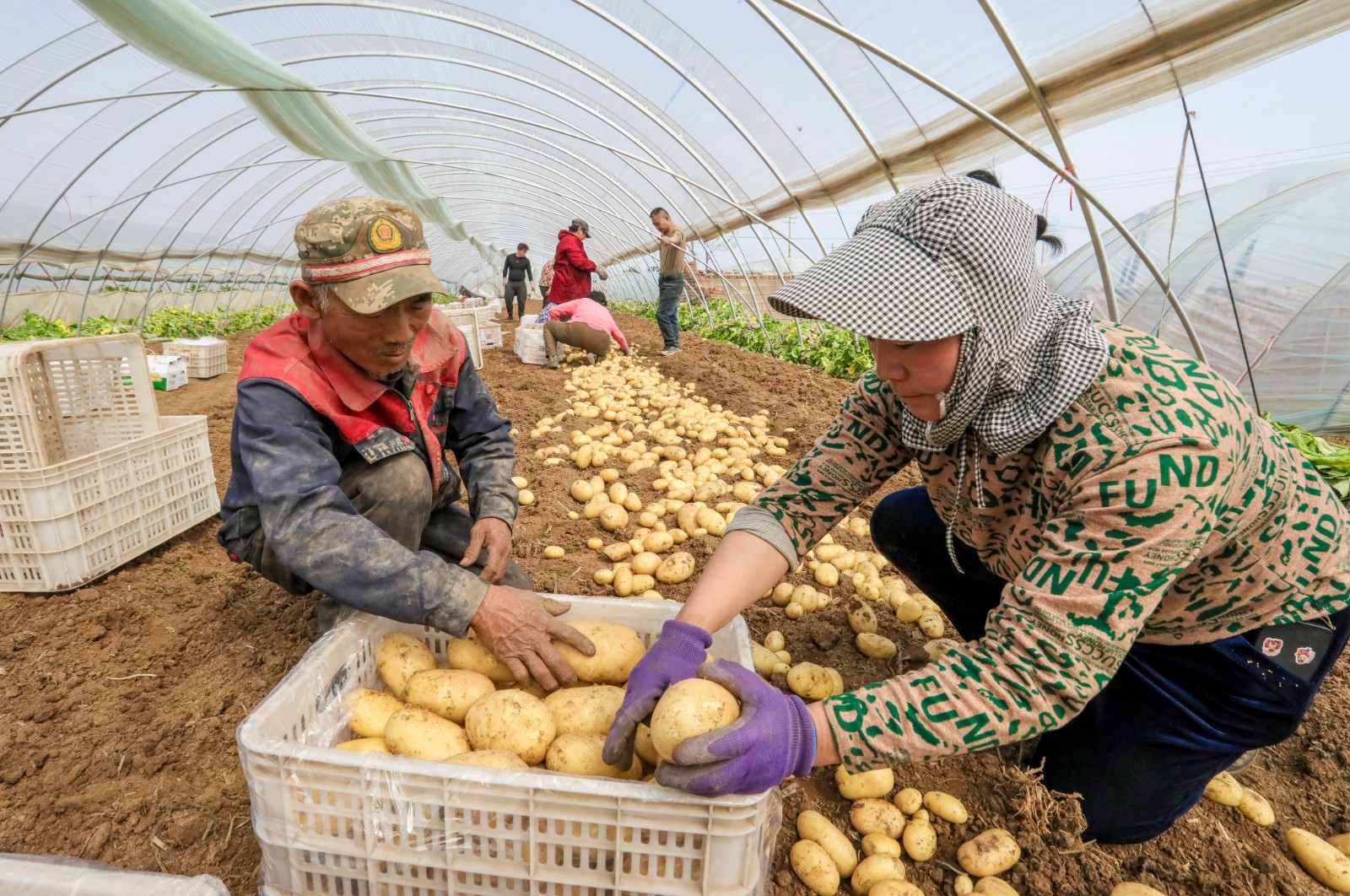 217370ba555edfea2af2d05b586f7fa7