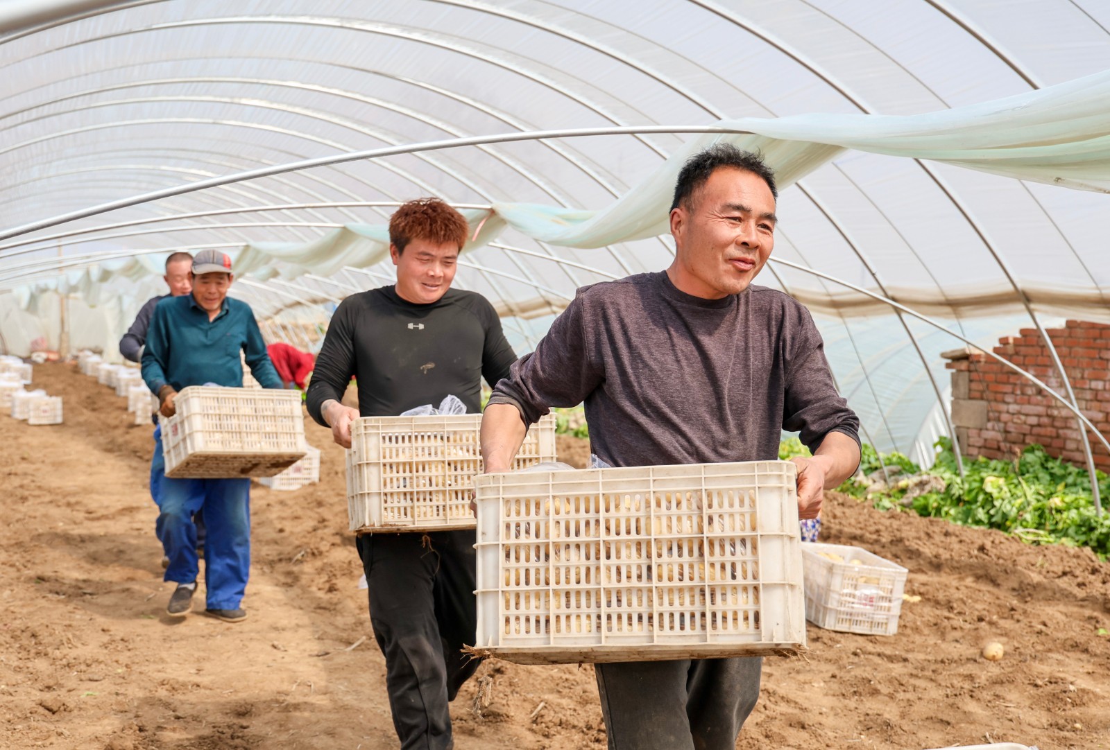 21ff832dbe2900dfff8c1bcb57a7d854