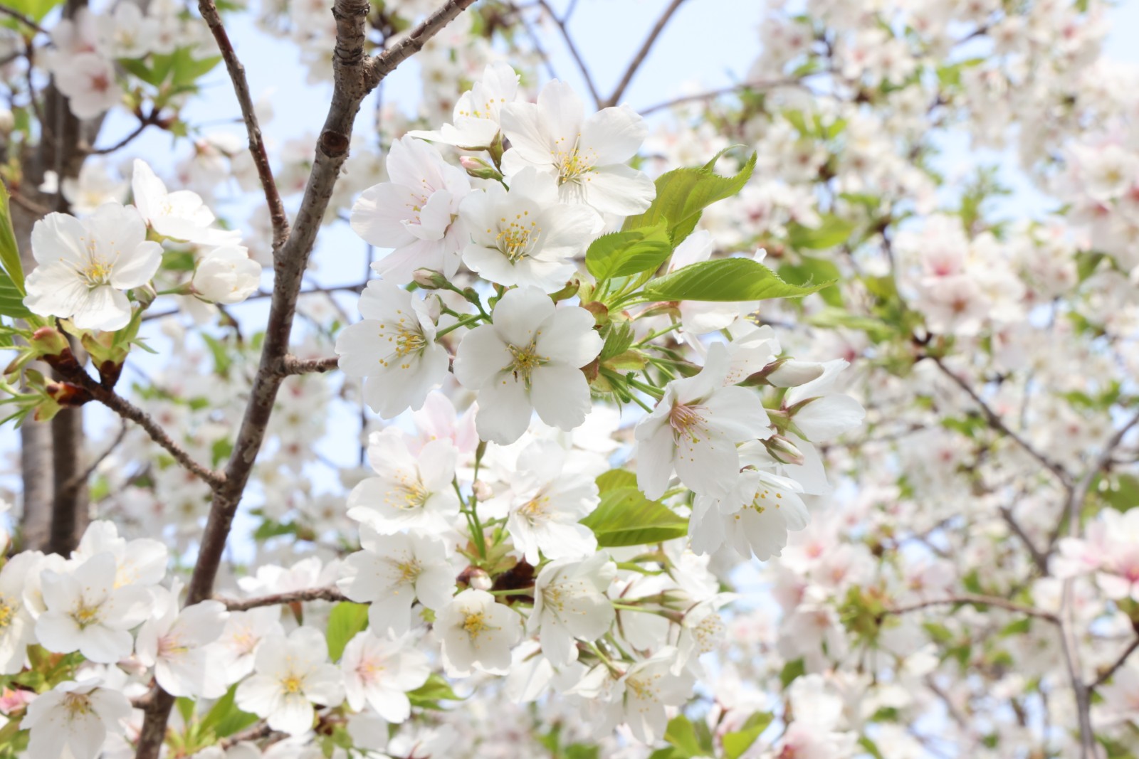 微信图片_20260328112633_4386_20