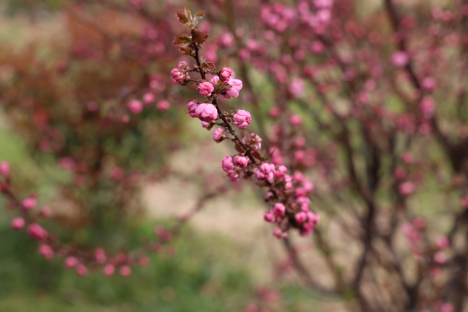 微信图片_20260328112633_4400_20