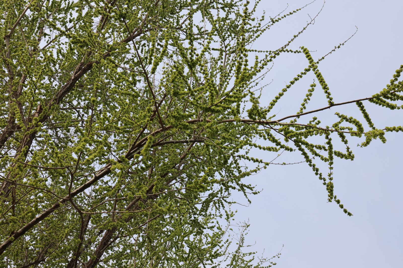 微信图片_20260328112633_4396_20