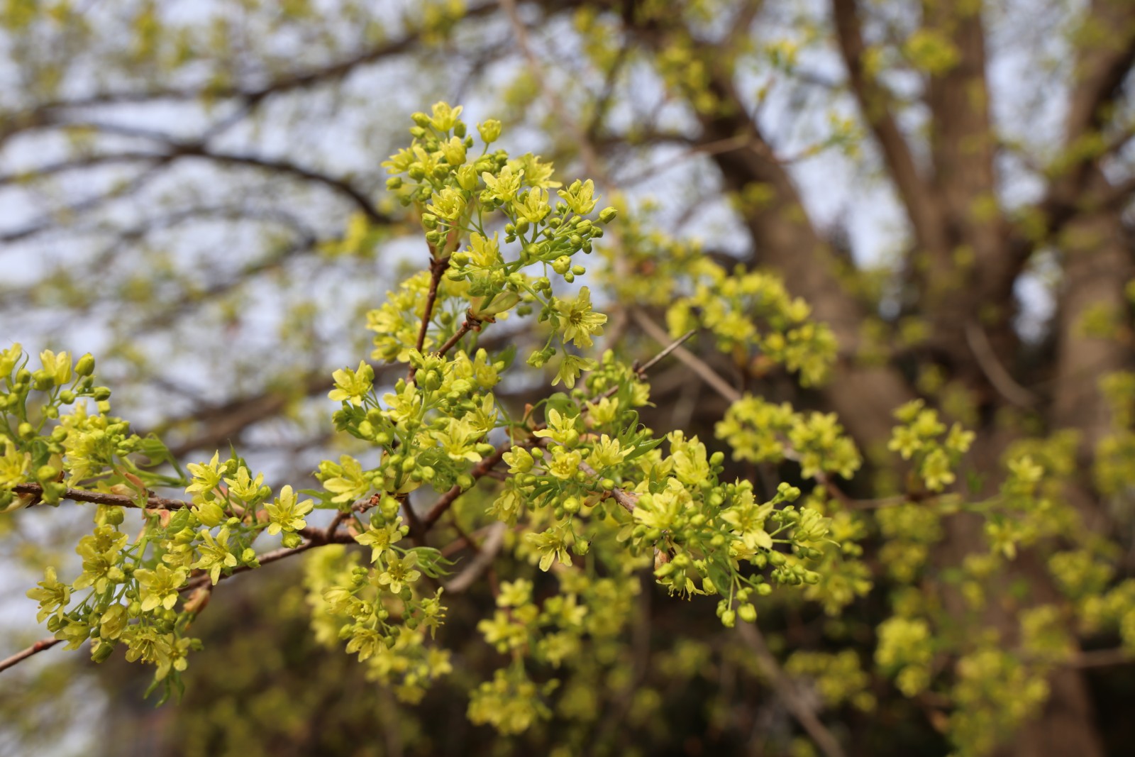 微信图片_20260328112633_4398_20