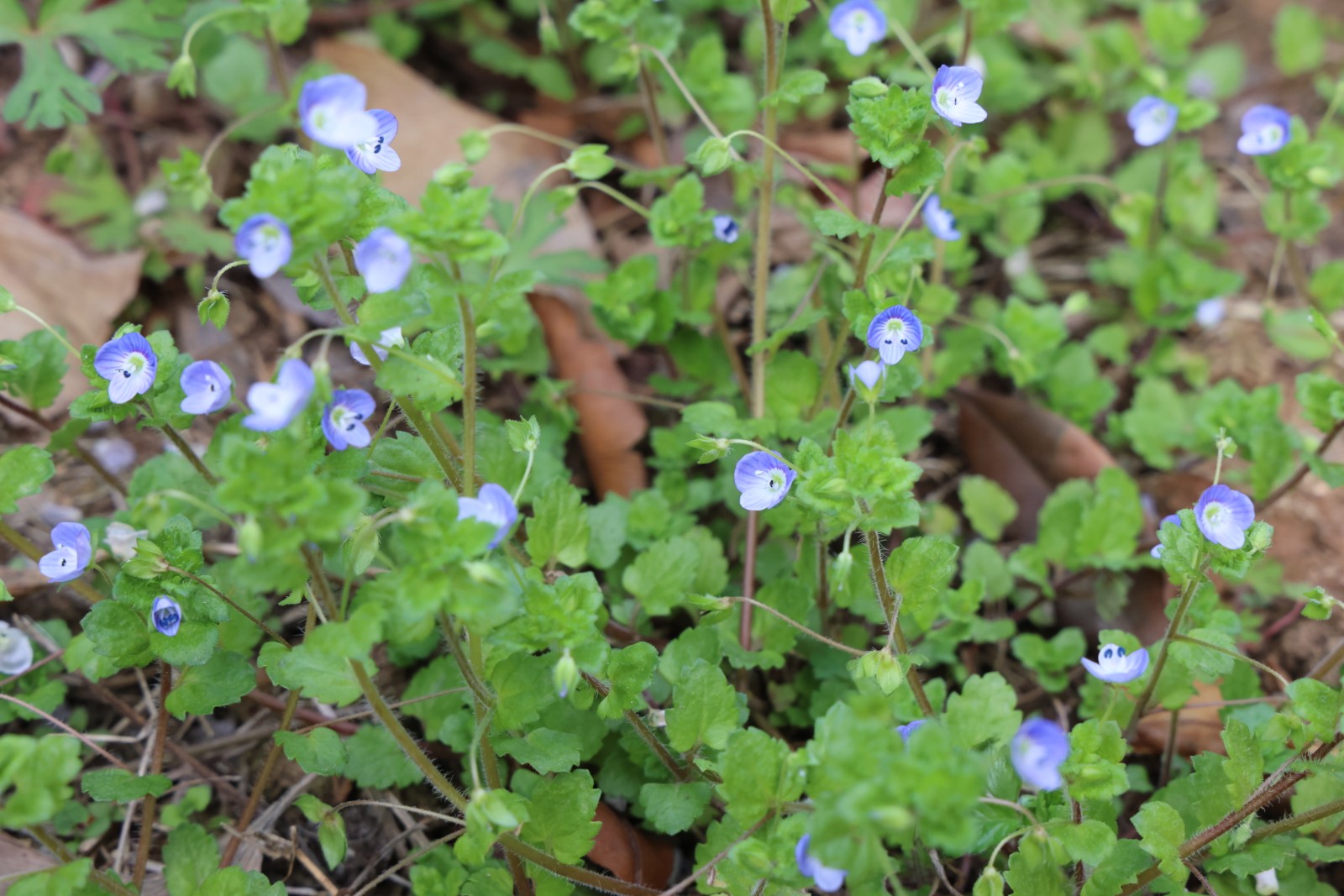 微信图片_20260328112633_4389_20