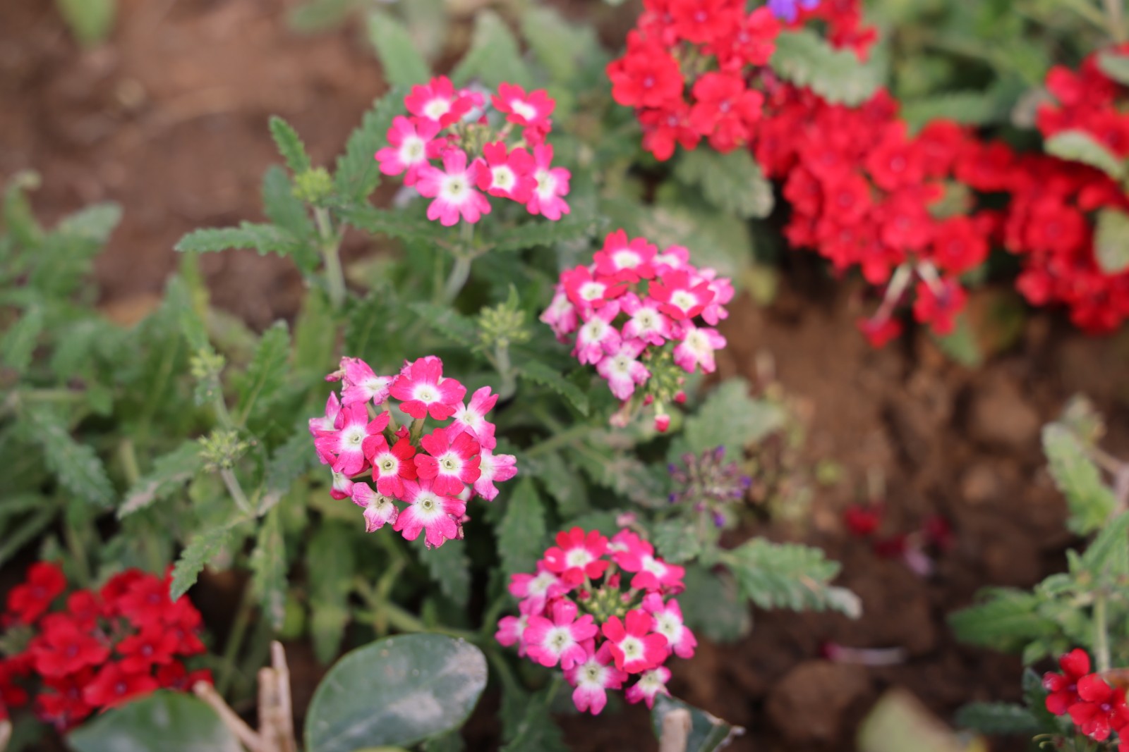 微信图片_20260328112633_4394_20