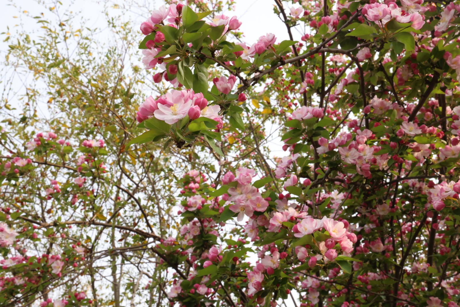 微信图片_20260328112633_4388_20