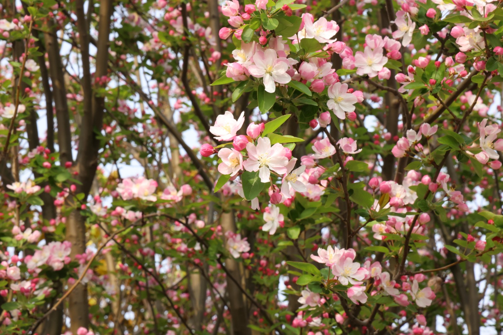 微信图片_20260328112633_4384_20