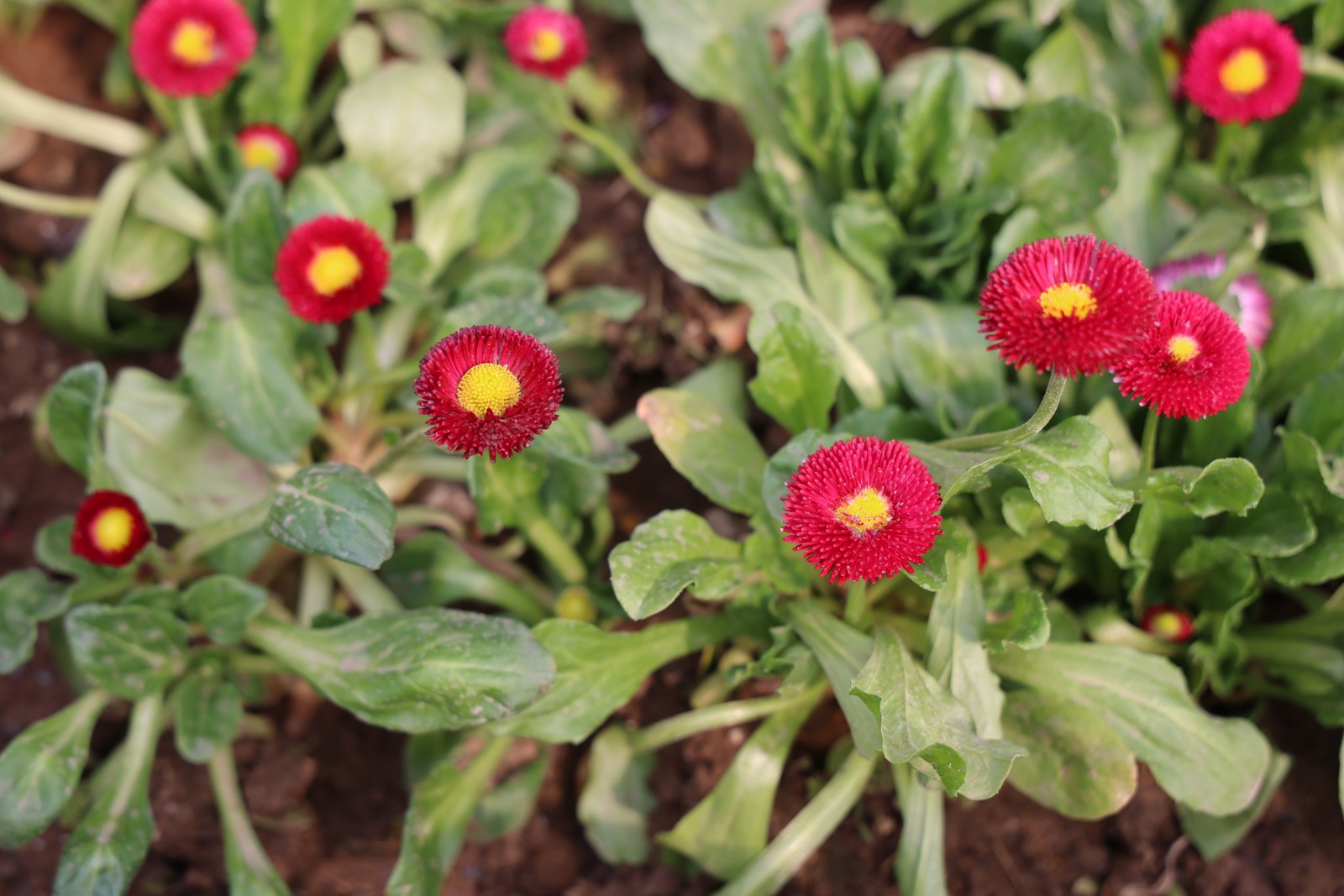 微信图片_20260328112633_4393_20