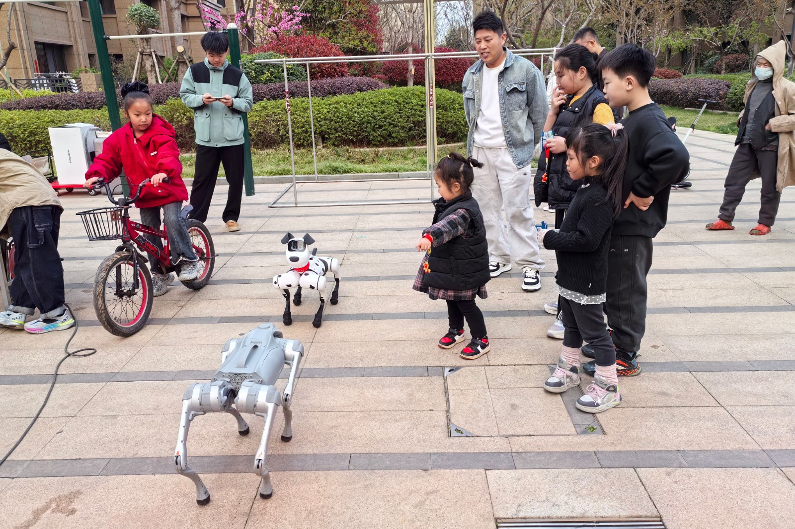 微信图片_20260329110450_11915_28_副本