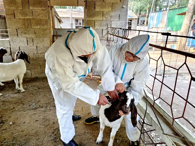 微信图片_20260331112258_1738_5