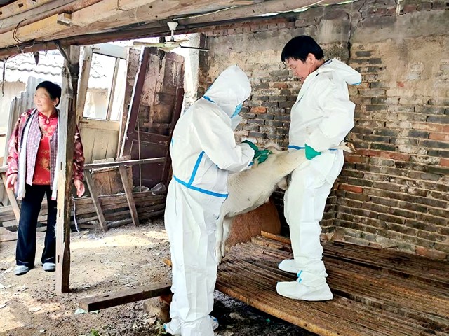 微信图片_20260331112255_1736_5