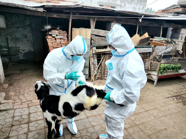 微信图片_20260331112256_1737_5