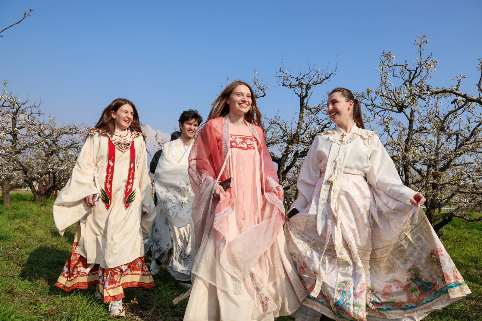 微信图片_20260402114748