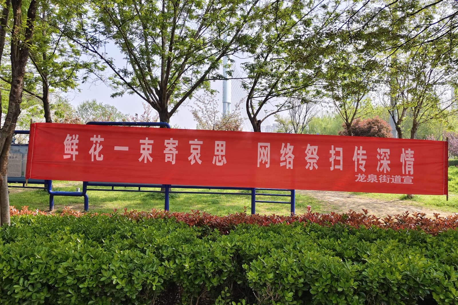 微信图片_20260403120820_203_655